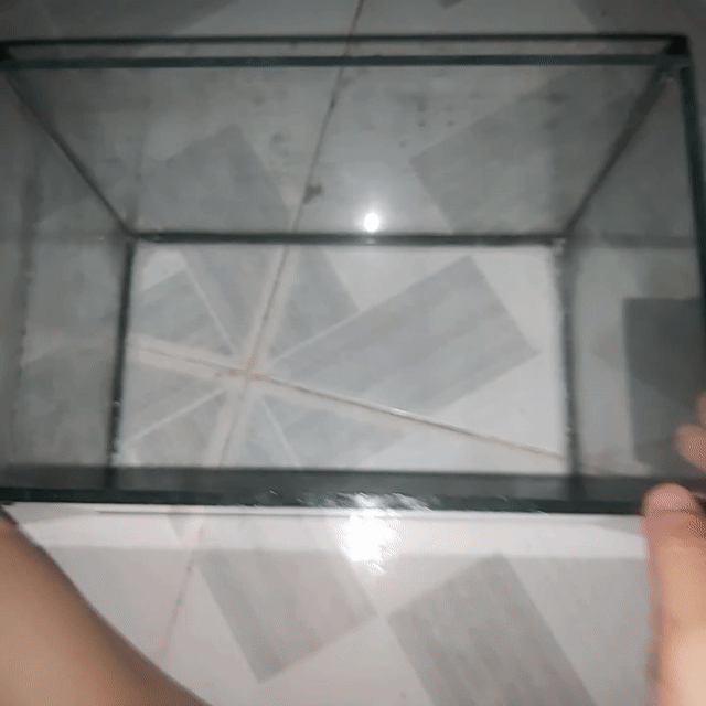 Hồ cá kính 25x16cm đã qua sử dụng. Mua bán Phụ kiện, Thức ăn, Dịch vụ tại Thành phố Thuận An Bình Dương được đăng bởi Minh Thy hình 1