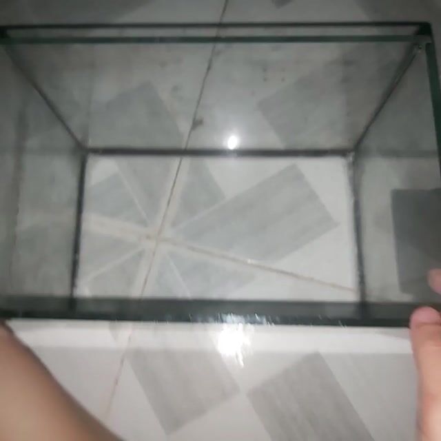 Hồ cá kính 25x16cm đã qua sử dụng. Mua bán Phụ kiện, Thức ăn, Dịch vụ tại Thành phố Thuận An Bình Dương được đăng bởi Minh Thy hình 1