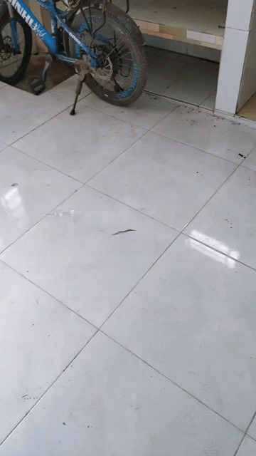 Mua bán Nhà ở Huyện Cần Giuộc Long An diện tích 18 m² giá 360 triệu