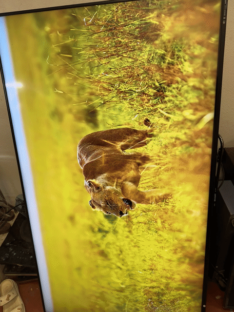 Tivi Sharp 60 inch 4K khiển nói. Mua bán Tivi, Âm thanh tại Quận Đống Đa Hà Nội được đăng bởi Phạm Phương hình 1