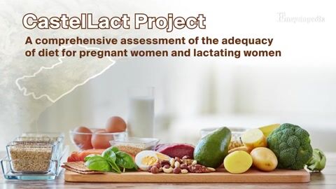 Encyclopedia-CastelLact Project: Exploring the Nutritional Status and Dietary Patterns of Pregnant and Lactating Women