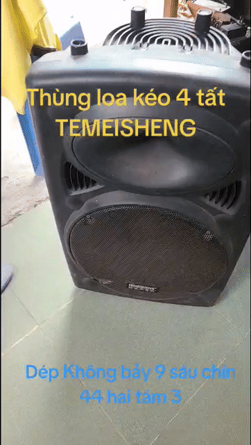 Loa kéo TEMEISHENG  4 Tất. Mua bán Tivi, Âm thanh tại Huyện Châu Thành Sóc Trăng được đăng bởi Máy Khoan Máy Mài Hàng Bãi  Chợ Trà Quýt  hình 1