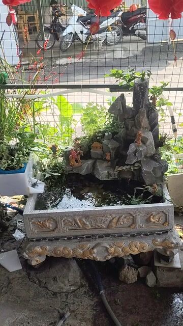 Hồ cá tiểu cảnh Đá Xám 75x55x28cm. Mua bán Phụ kiện, Thức ăn, Dịch vụ tại Thị xã Tân Uyên Bình Dương được đăng bởi bonsai mini hình 1