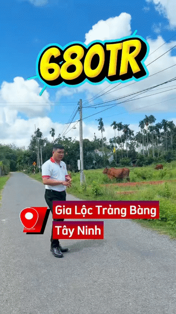 Mua bán Đất Huyện Gò Dầu Tây Ninh diện tích 140 m² giá 680 triệu
