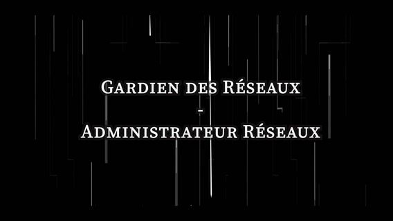 Administrateur/trice de réseau