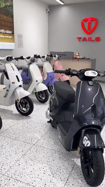 XE ĐIỆN TAILG GR56 - HÀNG CHÍNH HÃNG - TRẢ GÓP. Mua bán Xe đạp tại Quận 3 Tp Hồ Chí Minh được đăng bởi Lê Hiếu Điện Máy Trả Góp hình 1