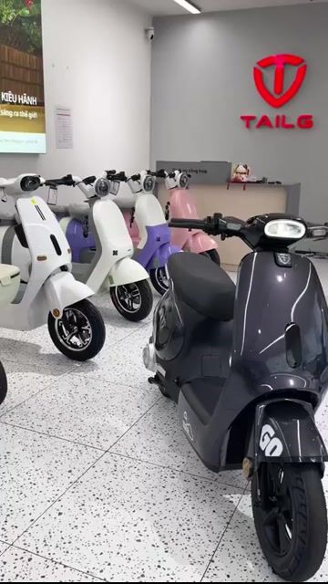 XE ĐIỆN TAILG GR56 - HÀNG CHÍNH HÃNG - TRẢ GÓP. Mua bán Xe điện tại Quận 3 Tp Hồ Chí Minh được đăng bởi Lê Hiếu Điện Máy Trả Góp hình 1