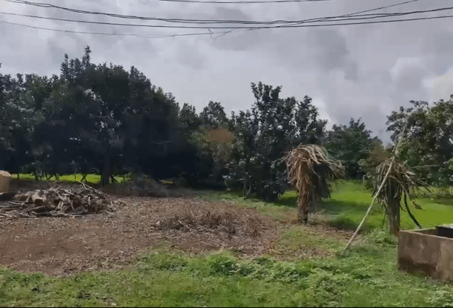 Mua bán Đất Thành phố Long Khánh Đồng Nai diện tích 1000 m² giá 650 triệu