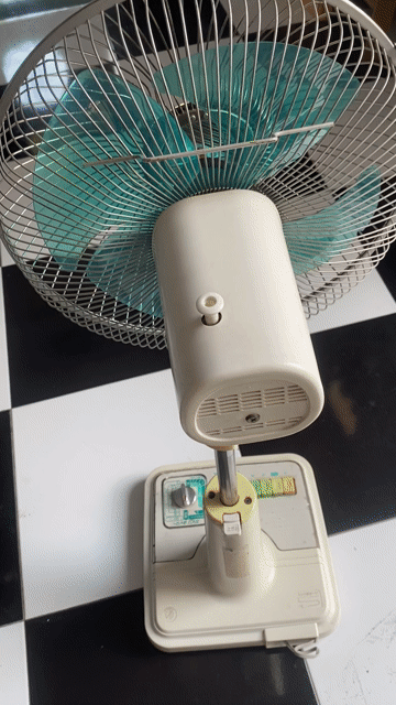 Bán 1quạt Tóshiba Nhật. Mua bán Quạt tại Huyện Châu Thành Bến Tre được đăng bởi Rồng Lang Thang hình 1