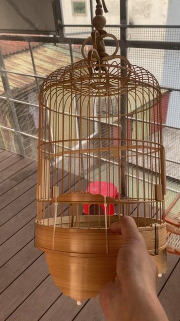 Lồng khuyên hành đặt kĩ. Mua bán Phụ kiện, Thức ăn, Dịch vụ tại Quận Hoàn Kiếm Hà Nội được đăng bởi sơn nguyễn hình 1