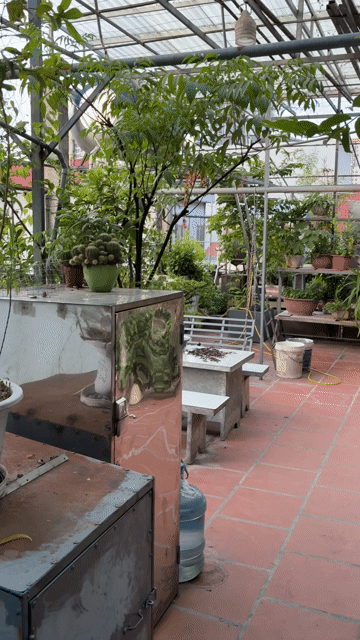 Cho thuê Phòng trọ Quận Hoàng Mai Hà Nội diện tích 15 m² giá 2,3 triệu/tháng