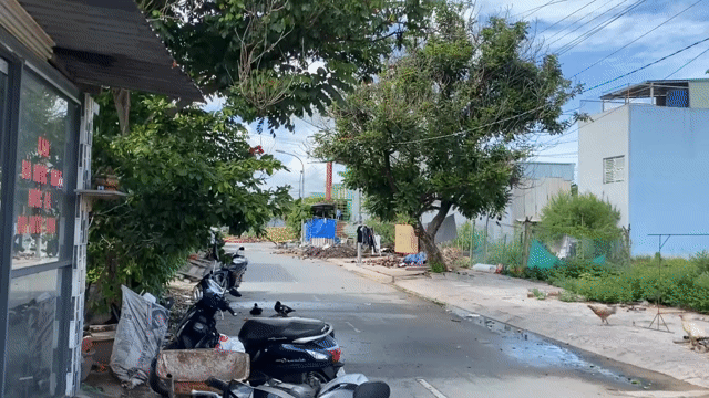 Mua bán Đất Huyện Cần Đước Long An diện tích 78 m² giá 1,199 tỷ