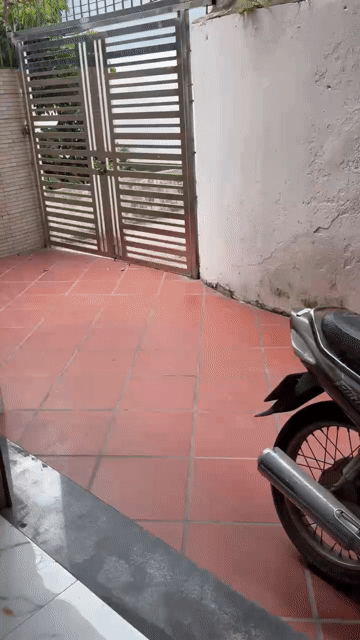 Cho thuê Nhà ở Quận Long Biên Hà Nội diện tích 40 m² giá 10 triệu/tháng