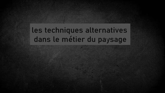 Paysagiste et gestion des techniques alternatives