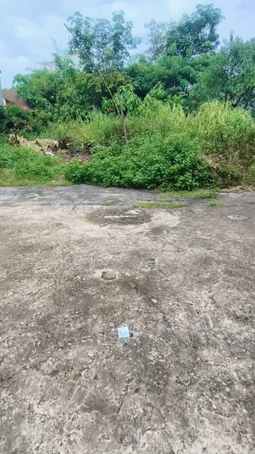 Mua bán Đất Thành phố Thủ Đức Tp Hồ Chí Minh diện tích 114 m² giá 4,4 tỷ