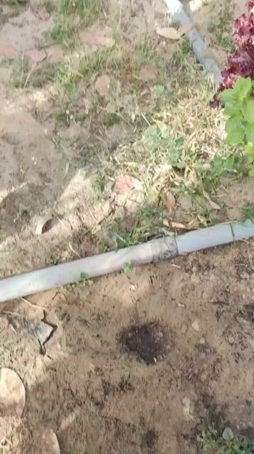 Rau xà lách VA Farm Thủy canh. Mua bán Đồ ăn, thực phẩm và các loại khác tại Thành phố Cà Mau Cà Mau được đăng bởi Lê Vĩnh Phúc hình 1