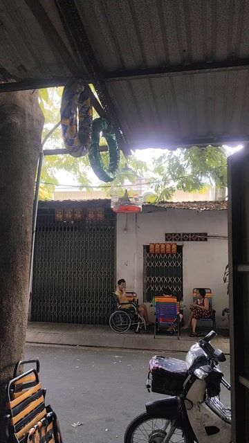 chim thanh tước hoa tiễn vàng đen. Mua bán Chim tại Quận Tân Phú Tp Hồ Chí Minh được đăng bởi gia ba hình 1