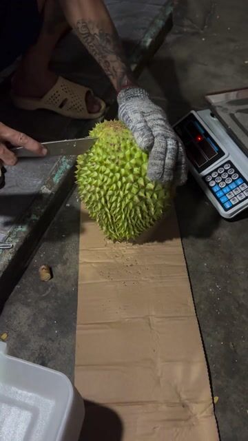 Sầu riêng Ri6. Mua bán Đồ ăn, thực phẩm và các loại khác tại Thành phố Qui Nhơn Bình Định được đăng bởi tran anh kha hình 1