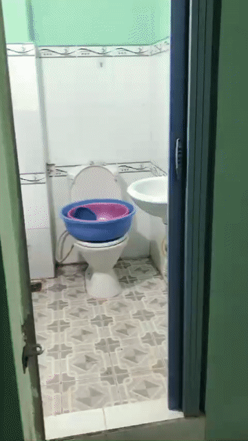 Cho thuê Phòng trọ Quận 6 Tp Hồ Chí Minh diện tích 12 m² giá 1,5 triệu/tháng