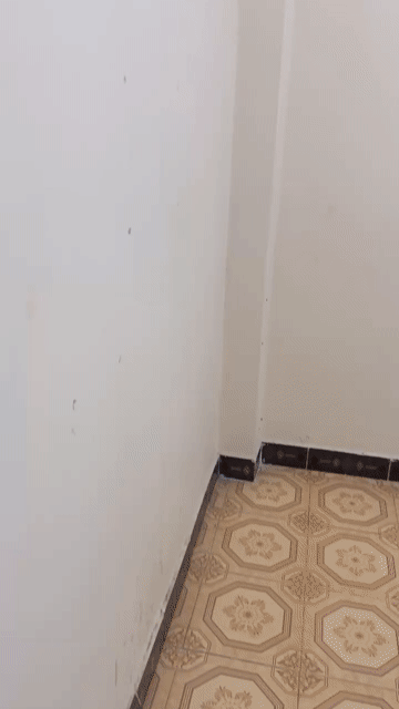 Cho thuê Phòng trọ Quận 11 Tp Hồ Chí Minh diện tích 12 m² giá 1,8 triệu/tháng