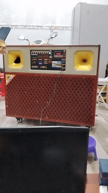 Loa kéo Nhôm Nâu Bluetooth. Mua bán Tivi, Âm thanh tại Thành phố Thủ Đức Tp Hồ Chí Minh được đăng bởi Ve Chai SG hình 1