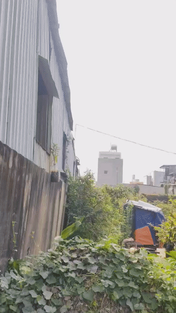 Mua bán Đất Quận 12 Tp Hồ Chí Minh diện tích 1016 m² giá 50 tỷ