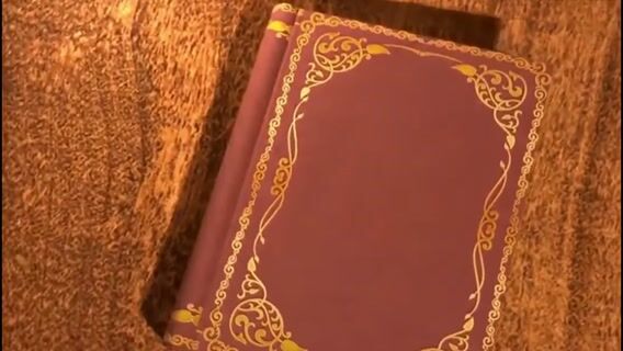 La vie d'une libraire