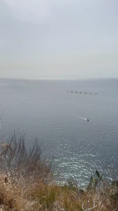 Open sea from Miradouro de São Sebastião: video from Miradouro de São Sebastião (Ribeira Brava), Madeira