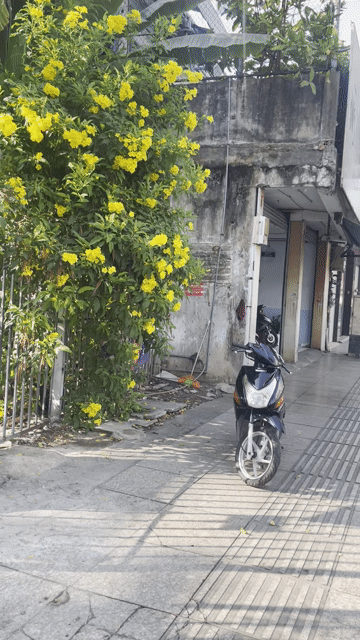 Honda Click 2009 Đen. Mua bán Xe máy tại Quận Tân Phú Tp Hồ Chí Minh được đăng bởi Xe Máy Lâm 290 hình 1