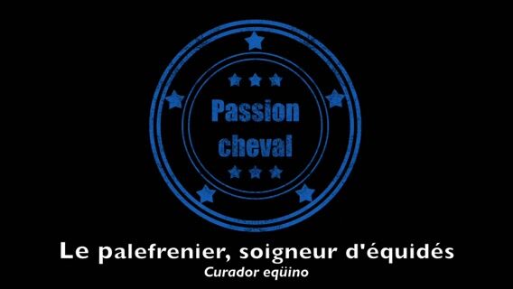 Passion cheval