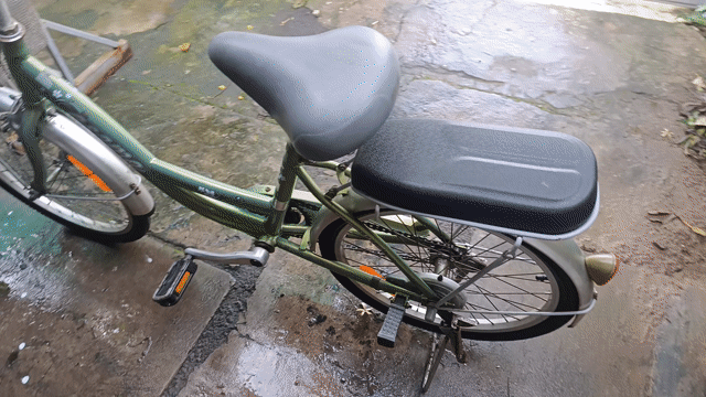 Xe đạp Asama Xanh lá đã sử dụng. Mua bán Xe đạp tại Quận Thốt Nốt Cần Thơ được đăng bởi Thanh Tran hình 1