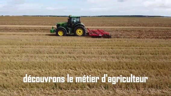 La récolte de pommes de terre