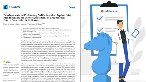 Development and Preliminary Validation of an Equine Brief Pain Inventory