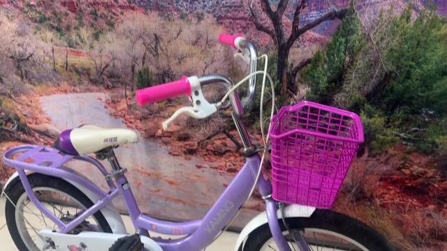 Xe trẻ em Xaming 18 inch. Mua bán Xe đạp tại Quận Tân Bình Tp Hồ Chí Minh được đăng bởi Bbb hình 1