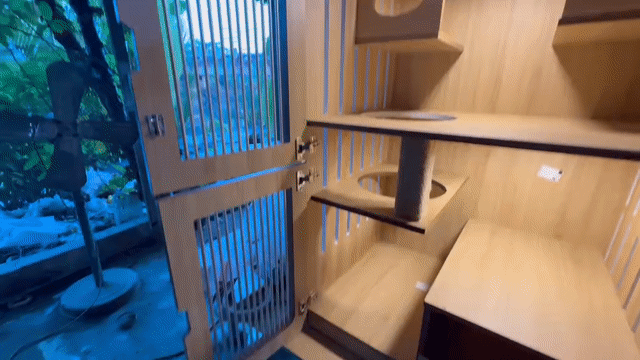 Chuồng mèo nhựa giả gỗ 3 tầng. Mua bán Phụ kiện, Thức ăn, Dịch vụ tại Quận Bình Thạnh Tp Hồ Chí Minh được đăng bởi Nguyên hình 1