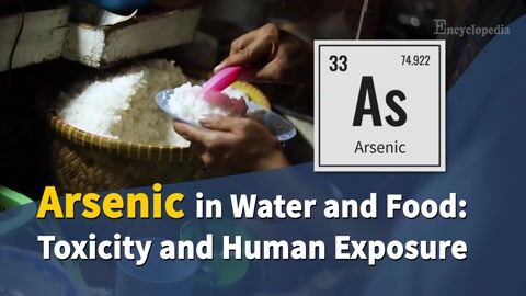 Encyclopedia-Arsenic in Water and Food: Toxicity and Human Exposure
