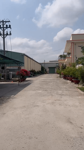 Cho thuê Văn phòng, Mặt bằng kinh doanh Huyện Cần Đước Long An diện tích 4000 m² giá 200 triệu/tháng
