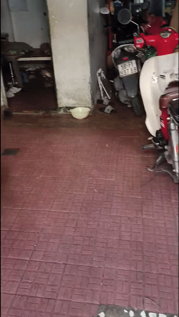 Cho thuê Phòng trọ Huyện Hóc Môn Tp Hồ Chí Minh diện tích 20 m² giá 800.000 đ/tháng