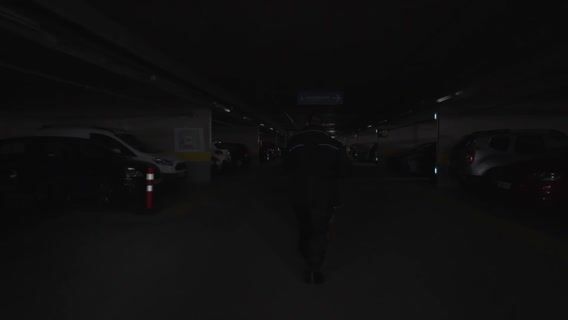 Agent cynophile