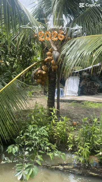 Mua bán Đất Huyện Chợ Gạo Tiền Giang diện tích 1000 m² giá 980 triệu