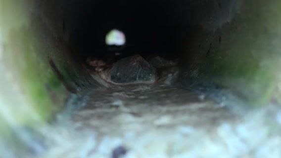 Métier de Technicien-forestier