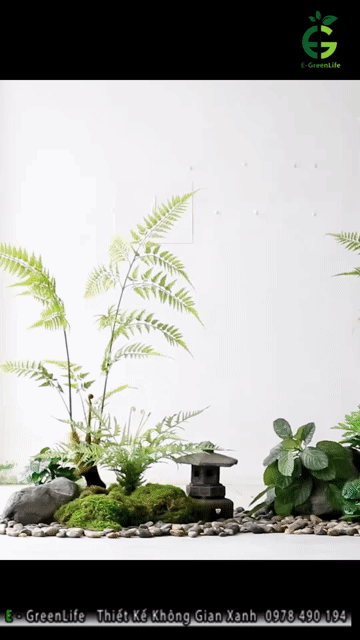 Cây giả deco trong nhà cao cấp. Mua bán Cây cảnh, đồ trang trí tại Quận Bắc Từ Liêm Hà Nội được đăng bởi EGreenlife nhà vườn xanh hình 1