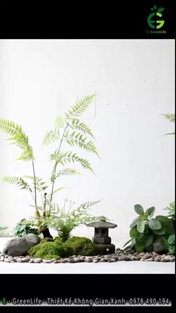 Cây giả deco trong nhà cao cấp. Mua bán Cây cảnh, đồ trang trí tại Quận Bắc Từ Liêm Hà Nội được đăng bởi EGreenlife nhà vườn xanh hình 1