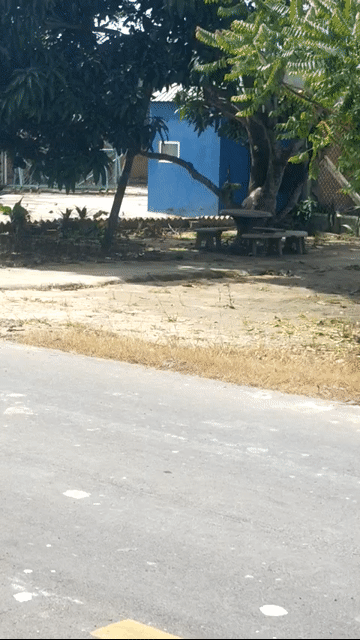 Mua bán Nhà ở Huyện Tân Biên Tây Ninh diện tích 1200 m² giá 3,5 tỷ