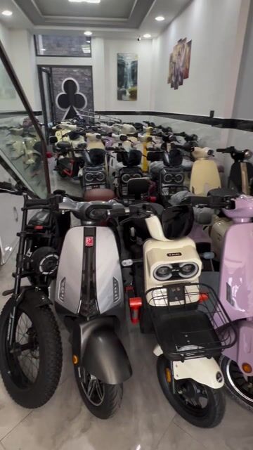 xe đạp điện hottrend. đủ mẫu. 2025. HS-Sv. giá tốt. Mua bán Xe điện tại Quận Tân Phú Tp Hồ Chí Minh được đăng bởi TỔNG KHO XE ĐIỆN SỈ VÀ LẺ TẠI HCM hình 1