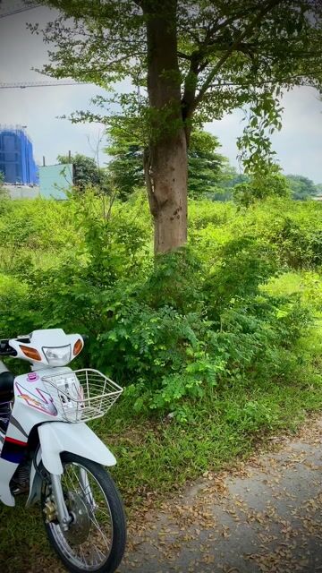 Yamaha Sirius màu Trắng. Mua bán Xe máy tại Thành phố Thuận An Bình Dương được đăng bởi A tung hình 1