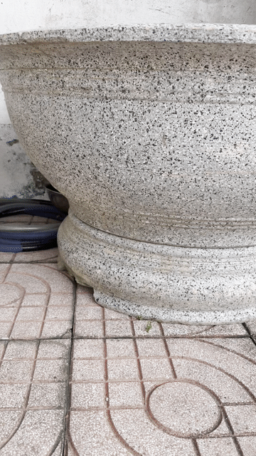 Chậu cây cảnh 1m2. Mua bán Cây cảnh, đồ trang trí tại Thành phố Biên Hòa Đồng Nai được đăng bởi MrThai hình 1