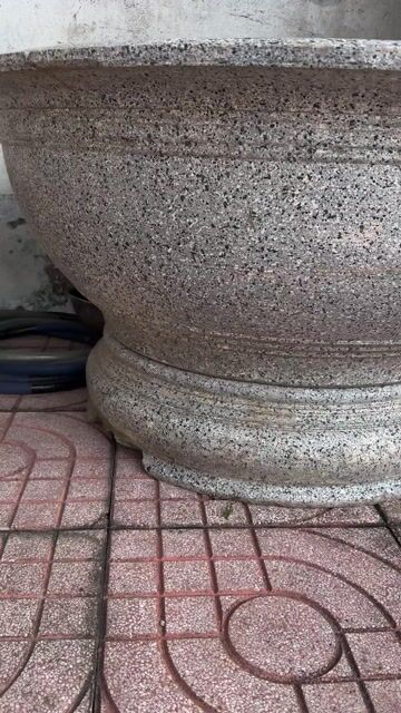 Chậu cây cảnh 1m2. Mua bán Cây cảnh, đồ trang trí tại Thành phố Biên Hòa Đồng Nai được đăng bởi MrThai hình 1