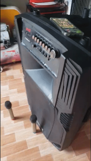 Loa kéo Ronamax 50cm Đen kèm 2 Micro. Mua bán Tivi, Âm thanh tại Thành phố Thủ Đức Tp Hồ Chí Minh được đăng bởi mua bán các sản phẩm điện đã qua sử dụng  hình 1