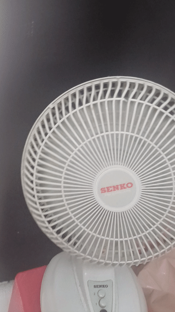 Giường spa Inox kèm gra Xanh dương. Mua bán Giường, chăn ga gối nệm tại Huyện Cần Giuộc Long An được đăng bởi Huong Phạm T  hình 1